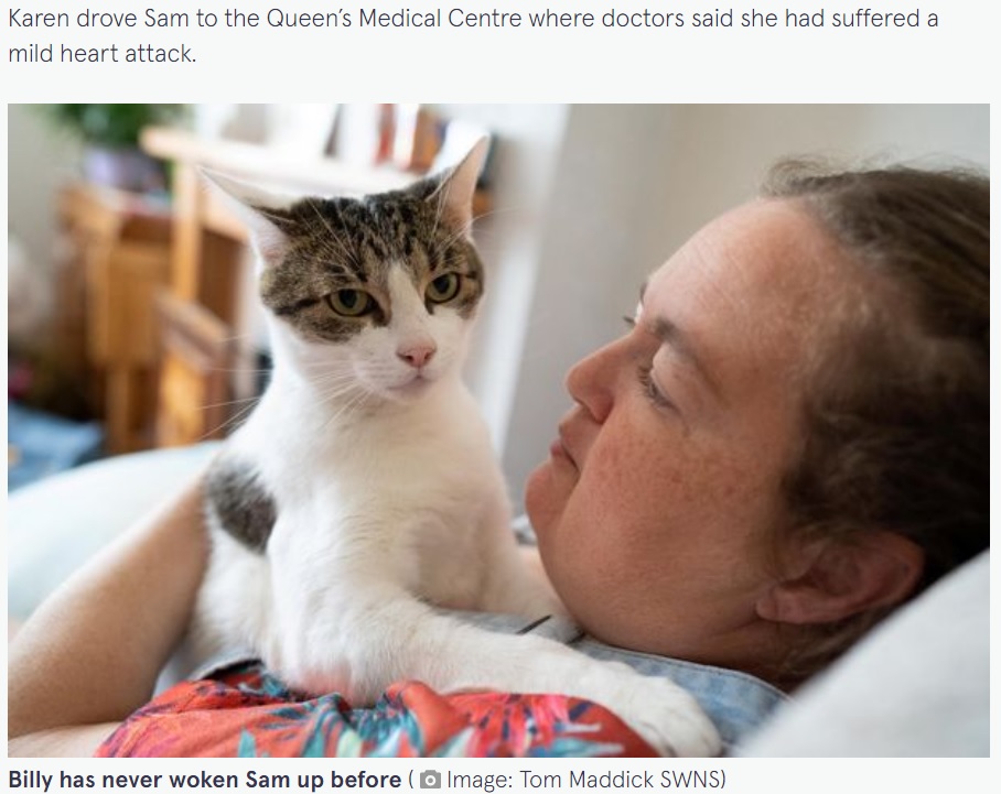 心臓発作に襲われた飼い主を救った賢い猫（画像は『The Mirror　2022年8月17日付「Cat mum’s life saved after pet pounded its paws on her chest during heart attack」（Image: Tom Maddick SWNS）』のスクリーンショット）