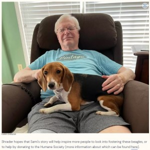 新しい飼い主に愛され幸せな生活を送っているサミ（画像は『The Dodo　2022年8月19日付「Rescue Beagle Has Most Joyful Reaction To Touching Grass For The Very First Time」（KAREN SHRADER）』のスクリーンショット）