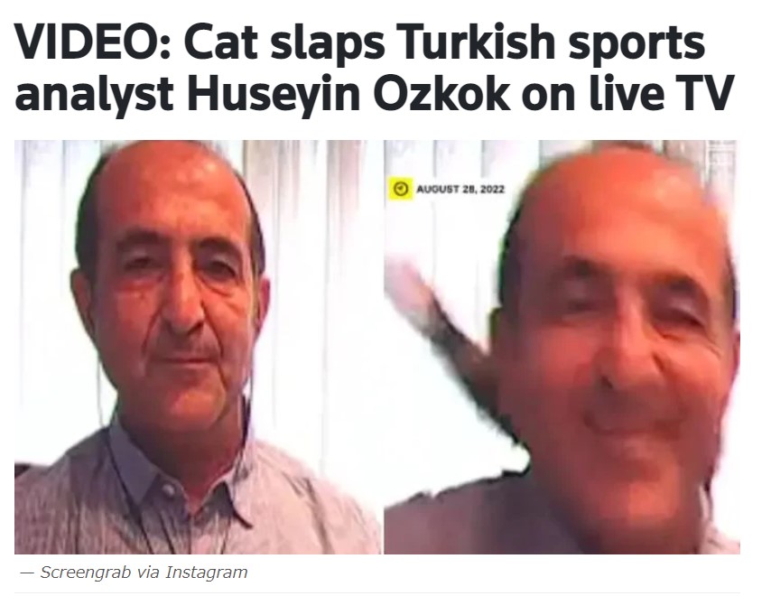 猫に平手打ちされる瞬間（画像は『Geo.tv　2022年9月1日付「VIDEO: Cat slaps Turkish sports analyst Huseyin Ozkok on live TV」（Screengrab via Instagram）』のスクリーンショット）