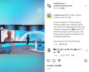 生放送中のスタジオの様子（画像は『NowThis　2022年8月30日付Instagram「Cat ‘slaps’ sports analyst on live TV」』のスクリーンショット）