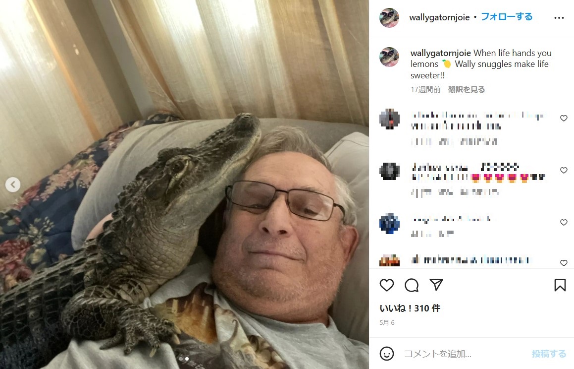 飼い主のヘニーさんとウォーリー（画像は『Wally Gator　2022年5月6日付Instagram「When life hands you lemons」』のスクリーンショット）