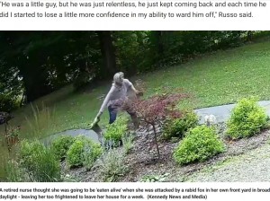 手に噛みついて離さないキツネ（画像は『Fox News　2022年8月25日付「New York woman fights off rabid fox in her front yard, thought she would be ‘eaten alive’」（Kennedy News and Media）』のスクリーンショット）