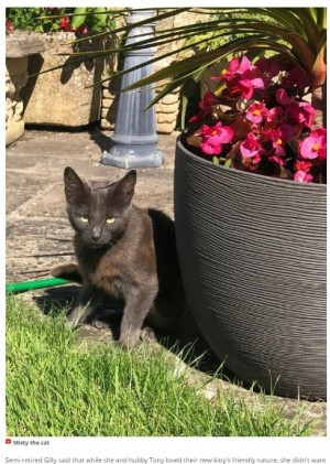 【海外発！Breaking News】ネズミ退治のために飼い始めた猫、ネズミと一緒にご飯を食べる姿に飼い主大笑い（英）