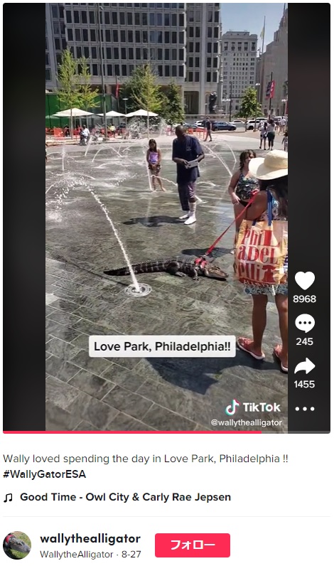 公園の噴水で遊ぶワニの“ウォーリー”（画像は『WallytheAlligator　2022年8月27日付TikTok「Wally loved spending the day in Love Park, Philadelphia !!」』のスクリーンショット）