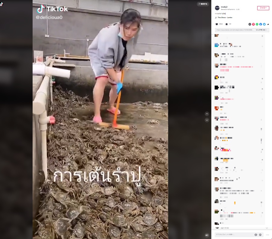 カニを養殖？（画像は『โลกแห่งการกินอาหาร　2022年5月26日付TikTok「การเต้นรำปู#ปู」』のスクリーンショット）