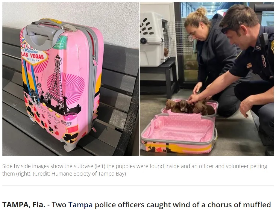 スーツケースの中から子犬を発見した警察官（画像は『FOX 35 Orlando　2022年10月20日付「Puppies rescued after being abandoned inside closed suitcase at Tampa vacation rental」（Credit: Humane Society of Tampa Bay）』のスクリーンショット）