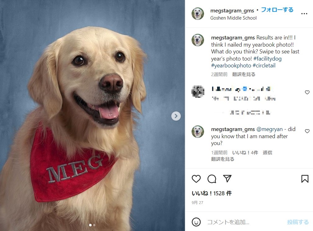 1年の総まとめであるイヤーブックに掲載された犬（画像は『Meg- Goshen’s Facility Dog!　2022年9月26日付Instagram「Results are in!!!」』のスクリーンショット）