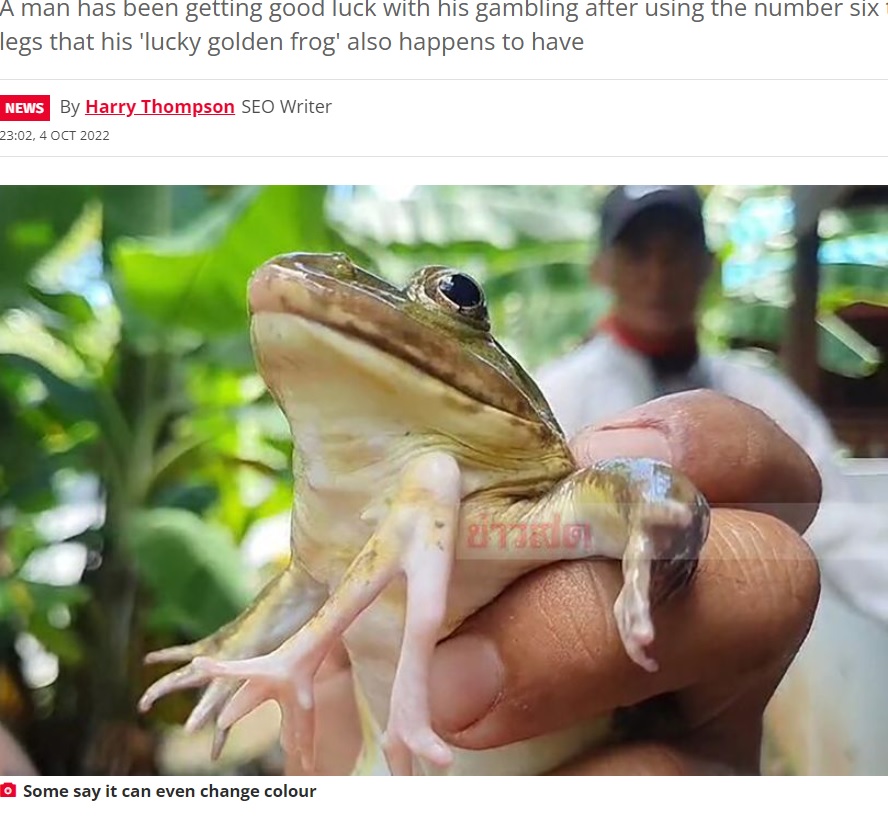 余分な2本の脚を持つカエル（画像は『The Daily Star　2022年10月4日付「Six-legged frog brings good luck as bloke goes on huge gambling streak」』のスクリーンショット）