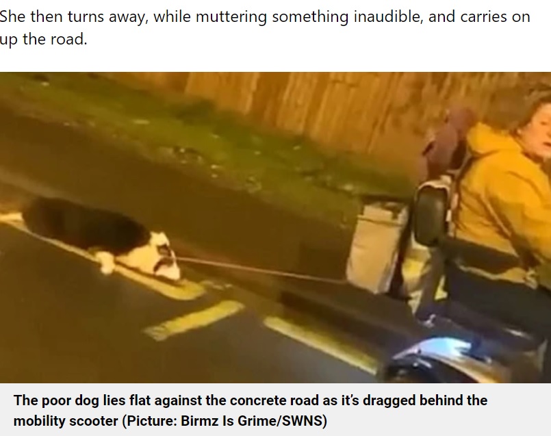 犬を電動カートで引きずる女（画像は『Metro　2022年11月9日付「Dog dragged along road by woman on a mobility scooter」（Picture: Birmz Is Grime / SWNS）』のスクリーンショット）