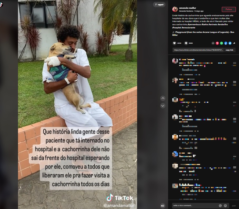 飼い主と再会を果たし甘える犬（画像は『Amanda Santana　2022年11月7日付TikTok「Linda história da cachorrinha que aguarda」』のスクリーンショット）