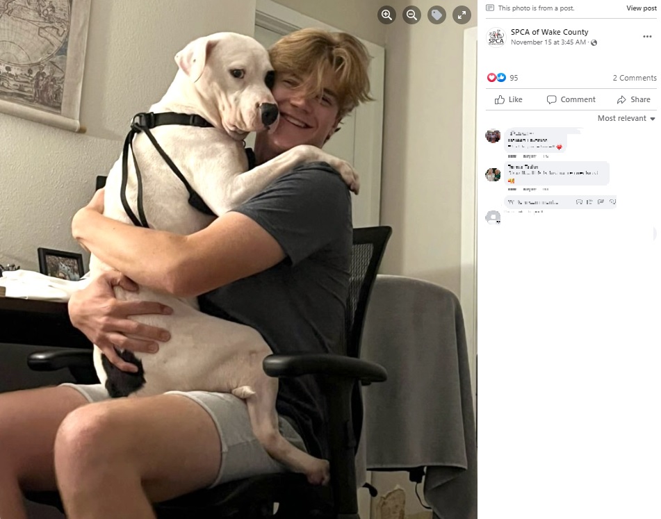 愛情をいっぱい注いでくれる家族に巡り合った犬（画像は『SPCA of Wake County　2022年11月15日付Facebook「This adoption update just melted our hearts!」』のスクリーンショット）