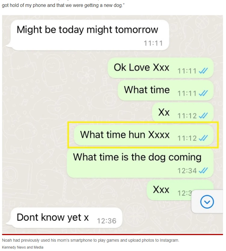母親の言葉遣いを完璧に真似たノア君のメッセージ（画像は『New York Post　2022年11月15日付「Son tricks dad into getting him a puppy ― by impersonating mom: ‘Hi hun’」（Kennedy News and Media）』のスクリーンショット）