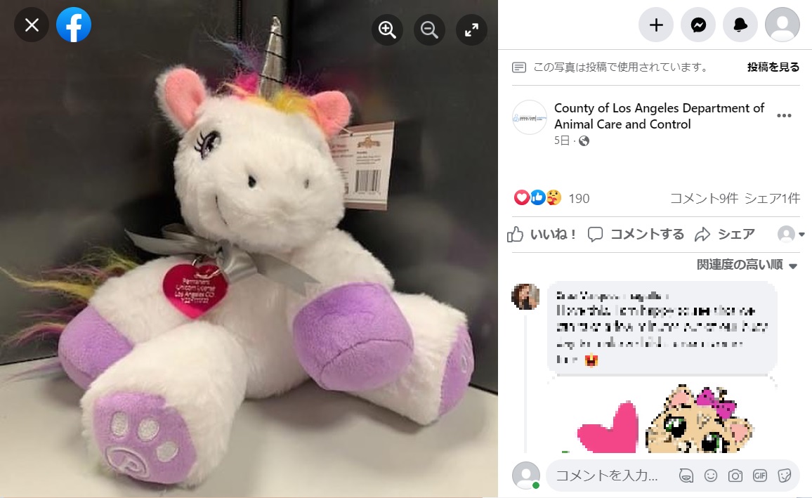 動物管理局が飼育許可証とともに少女に贈ったぬいぐるみ（画像は『County of Los Angeles Department of Animal Care and Control　2022年12月6日付Facebook「This brought us so much JOY so we thought we should share with everyone.」』のスクリーンショット）