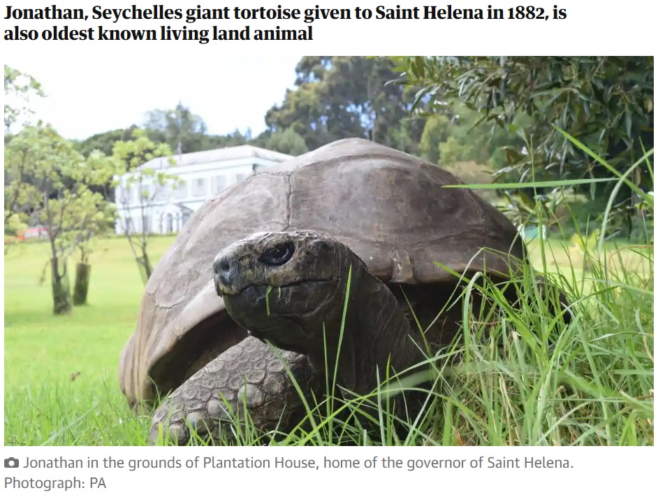 ジョナサンは200年近く生きている可能性も（画像は『The Guardian　2022年12月2日付「World’s oldest recorded tortoise prepares for 190th birthday party」（Photograph: PA）』のスクリーンショットssss）