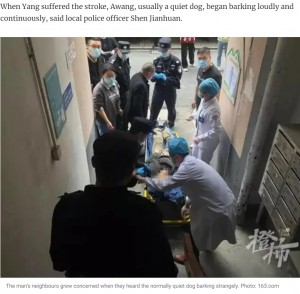 病院に搬送されるヤンさん（画像は『South China Morning Post　2022年12月18日付「He refused to eat or drink」（Photo: 163.com）』のスクリーンショット）