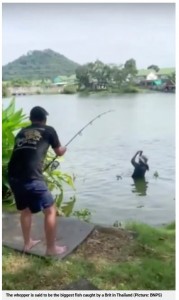 最終的に男性4人がかりで引き上げられた（画像は『Metro　2022年12月19日付「Brit catches huge 30 stone catfish while on holiday in Thailand」（Picture: BNPS）』のスクリーンショット）