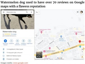 以前はグーグルマップ上で80件以上のレビューと星5つの評価も（画像は『Bored Panda　2022年11月28日付「This Dog Is A Local Landmark In Tbilisi, Georgia With A Personal Google Maps Mark And Positive Reviews」（Image credits: www.google.com）』のスクリーンショット）