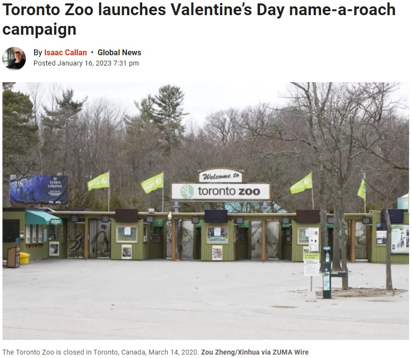 一風変わったキャンペーンが行われたトロント動物園（画像は『Global News　2023年1月16日付「Toronto Zoo launches Valentine’s Day name-a-roach campaign」（Zou Zheng/Xinhua via ZUMA Wire）』のスクリーンショット）