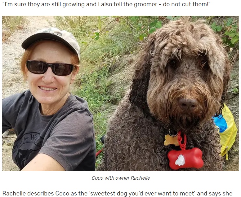 飼い主のレイチェルさんとココ（画像は『Guinness World Records　2023年2月9日付「Newfypoo breaks historic record with longest eyelash on a dog ever」』のスクリーンショット）