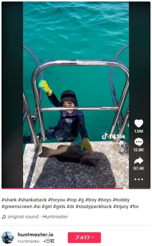 【海外発！Breaking News】サメが8歳男児に噛みつく“衝撃の瞬間”　獲った魚を狙ったか（豪）＜動画あり＞