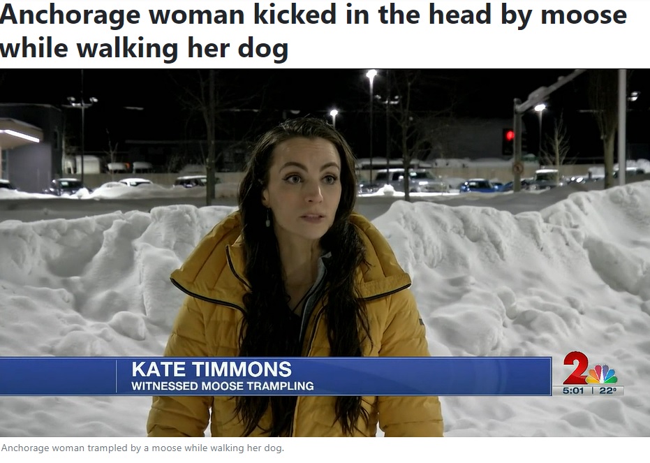 タイミングよく通りかかったケイトさん（画像は『Alaska’s News Source　2023年2月21日付「Anchorage woman kicked in the head by moose while walking her dog」』のスクリーンショット）