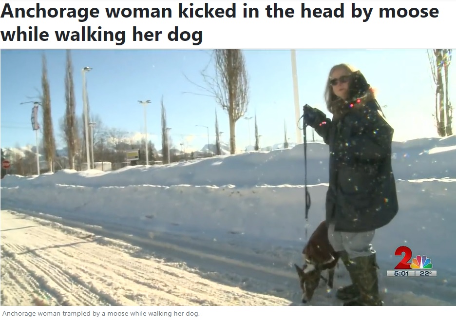 散歩を再開したトレイシーさん（画像は『Alaska’s News Source　2023年2月21日付「Anchorage woman kicked in the head by moose while walking her dog」』のスクリーンショット）