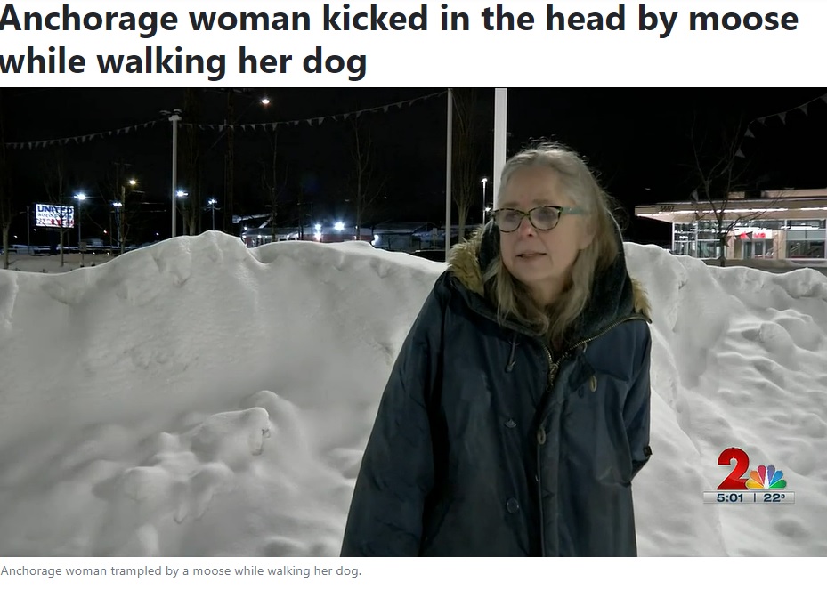 ヘラジカに襲われたトレイシーさん（画像は『Alaska’s News Source　2023年2月21日付「Anchorage woman kicked in the head by moose while walking her dog」』のスクリーンショット）