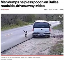 【海外発！Breaking News】道端に置き去りにされた犬、車を必死に追いかける監視カメラの映像により飼い主を逮捕（米）＜動画あり＞