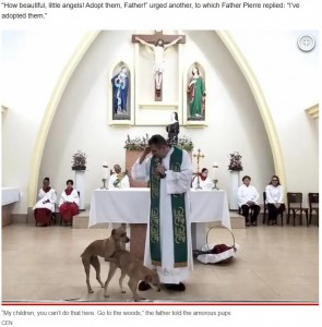 神聖な教会でのハプニングに、参列者も苦笑いだった（画像は『New York Post　2023年3月6日付「Priest interrupted by humping dogs: ‘My children, you can’t do that here’」（CEN）』のスクリーンショット）