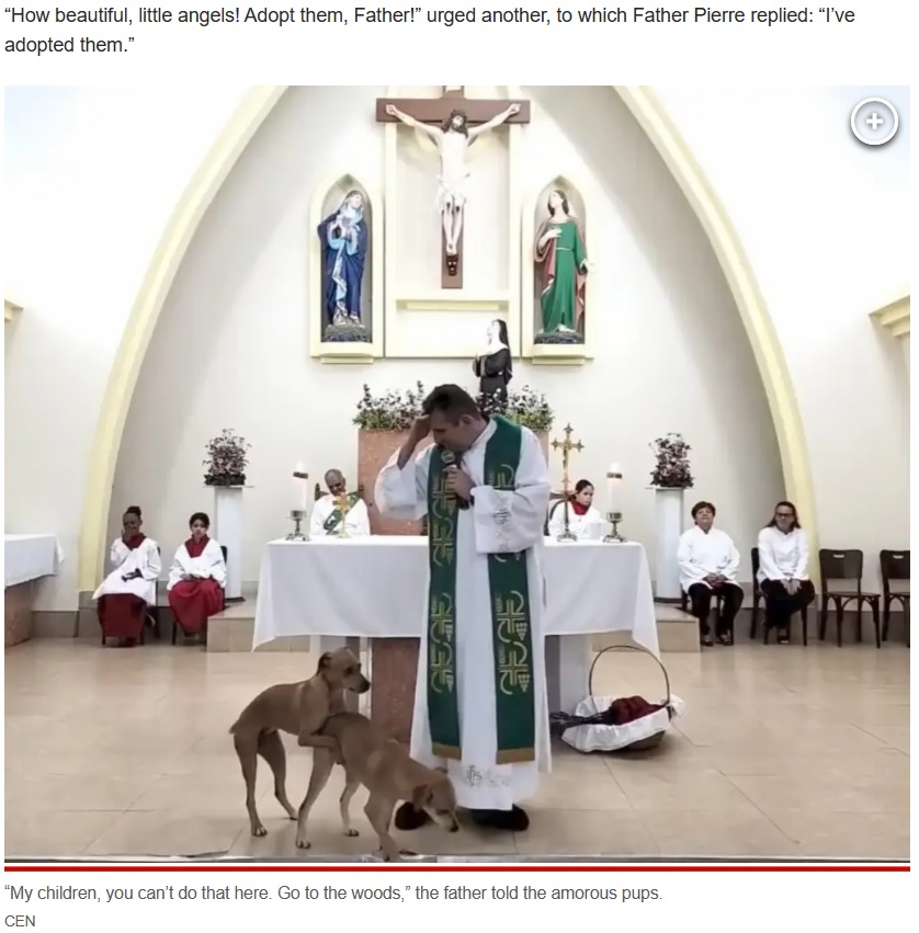 神聖な教会でのハプニングに、参列者も苦笑いだった（画像は『New York Post　2023年3月6日付「Priest interrupted by humping dogs: ‘My children, you can’t do that here’」（CEN）』のスクリーンショット）