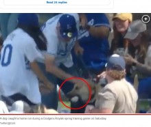 【海外発！Breaking News】ホームランボールをキャッチしたのは犬！　MLBシーズン開幕目前のスタジアムは大盛り上がり（米）＜動画あり＞