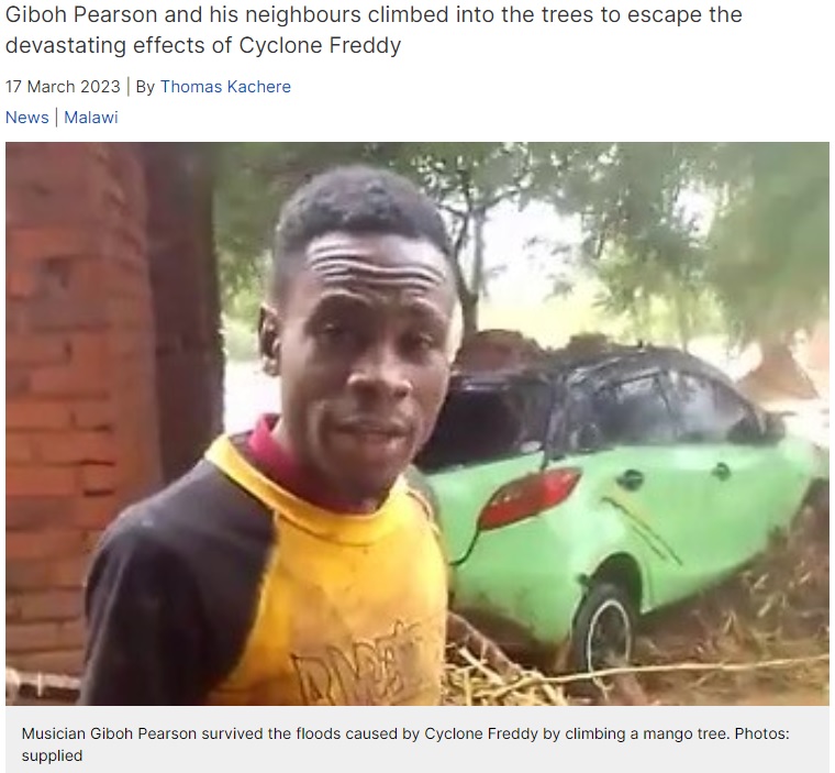 2時間半ほど木の上に留まっていたミュージシャン（画像は『GroundUp　2023年3月17日付「Mango tree saves top Malawian musician from death in floods」（Photos: supplied）』のスクリーンショット）