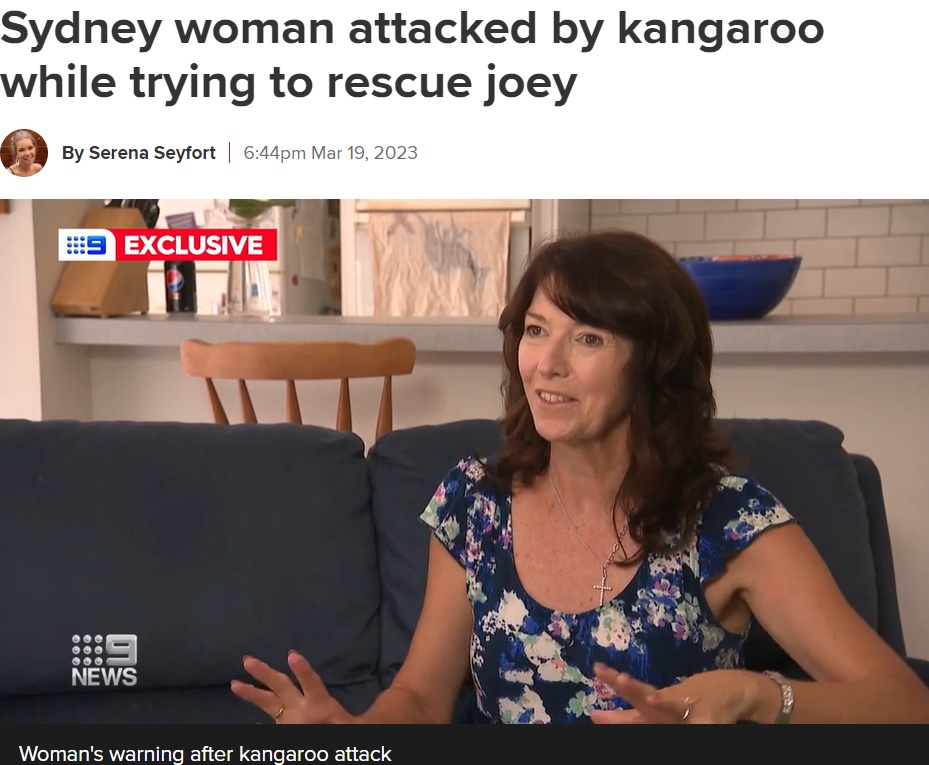 当時のことを振り返るメラニーさん（画像は『9News　2023年3月19日付「Sydney woman attacked by kangaroo while trying to rescue joey」』のスクリーンショット）