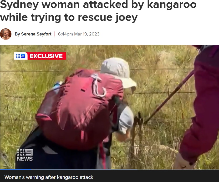 子カンガルーを助けようとするメラニーさん（左）と友人（画像は『9News　2023年3月19日付「Sydney woman attacked by kangaroo while trying to rescue joey」』のスクリーンショット）
