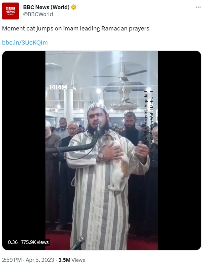 イスラム教のラマダン（断食月）の期間中には毎晩礼拝が行われるが、その最中に1匹の猫が迷い込んでしまった。猫は聖典を暗唱していた導師に飛び付き、その様子が動画に収められた（画像は『BBC News（World）　2023年4月5日付Twitter「Moment cat jumps on imam leading Ramadan prayers」』のスクリーンショット）