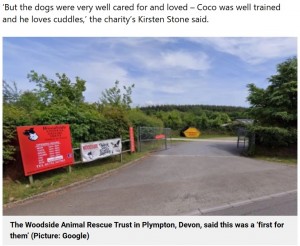動物保護施設「Woodside Animal Welfare Trust」にやって来たココともう1匹は、飼い主が置きっぱなしにしていたお酒を習慣的に飲んでいたと推測されている（画像は『Metro　2023年4月7日付「‘Alcoholic’ dog needed intensive care at shelter after heavy-drinking owner died」（Picture: Google）』のスクリーンショット）