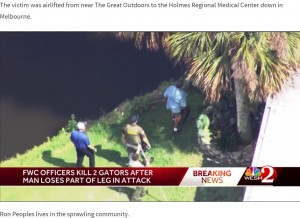 水辺を歩き、男性を襲ったワニを追跡するフロリダ州魚類・野生生物保存委員会（FWC）のスタッフら。手にはライフル銃を持っているのが見て取れる（画像は『WESH　2023年4月14日付「72-year-old man loses leg during gator attack in Brevard County」』のスクリーンショット）