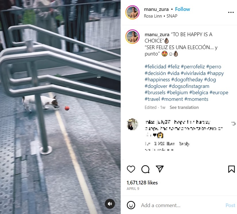 ベルギーのブリュッセル市内にある地下鉄駅で、階段の上からボールを転がしては追いかけてキャッチする犬。駅を利用する人たちが行き交う中で、犬は無邪気に遊んでいた（画像は『manu_zura　2023年4月8日付Instagram「“TO BE HAPPY IS A CHOICE”」』のスクリーンショット）