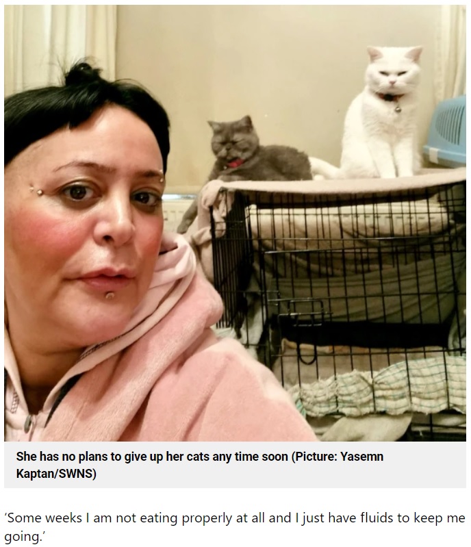 病気で仕事を失い収入が激減した女性。飼い猫にかかる費用が家計を圧迫するも、子猫の時から一緒に過ごしてきた猫たちを手放すことはできなかった（画像は『Metro　2023年3月17日付「Woman starving herself on just one meal a week so her cats don’t go hungry」（Picture: Yasemn Kaptan/SWNS）』のスクリーンショット）