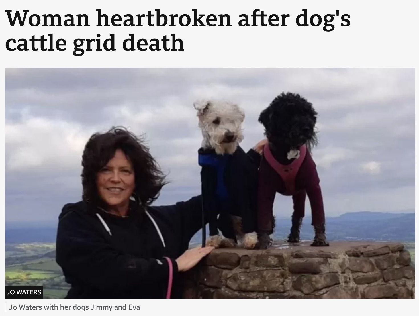 キャトルグリッド（家畜侵入防止用の鉄柵）に挟まり命を落とした犬（右）。飼い主のジョーさんは、事故後すぐにコミュニティーサイトで愛犬家に注意を呼びかけた（画像は『BBC　2023年5月5日付「Woman heartbroken after dog’s cattle grid death」（JO WATERS）』のスクリーンショット）