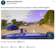 【海外発！Breaking News】カウボーイが牛を追って高速道路を疾走　投げ縄を使って見事に捕獲（米）＜動画あり＞