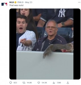 一度もリスを見たことのないようなリアクションをする人や、興味がなさそうな人も。観客たちの個性豊かな表情に大笑いの声が寄せられている（画像は『MLB　2023年5月23日付Twitter「That was nuts!」』のスクリーンショット）
