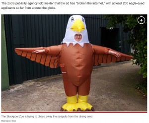 様々なカモメ対策を講じてきたが、どれも長期的な効果はみられず、経営者らは頭を悩ませた。そこで人力でカモメの問題を解決することにしたという（画像は『New York Post　2023年4月27日付「UK zoo wants human ‘seagull deterrents’ to wear inflatable eagle costumes to chase pesky birds」（Blackpool Zoo）』のスクリーンショット）