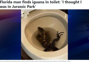 ベビーゲートを設置したジョンさんがトイレに戻ると、イグアナはまだ便器の中にいて水しぶきを上げていた。そのためジョンさんが捕まえようとしたところ、逃げ出したという（画像は『25 News Now　2023年5月23日付「Florida man finds iguana in toilet: ‘I thought I was in Jurassic Park’」（WSVN, JOHN RIDDLE, CNN）』のスクリーンショット）