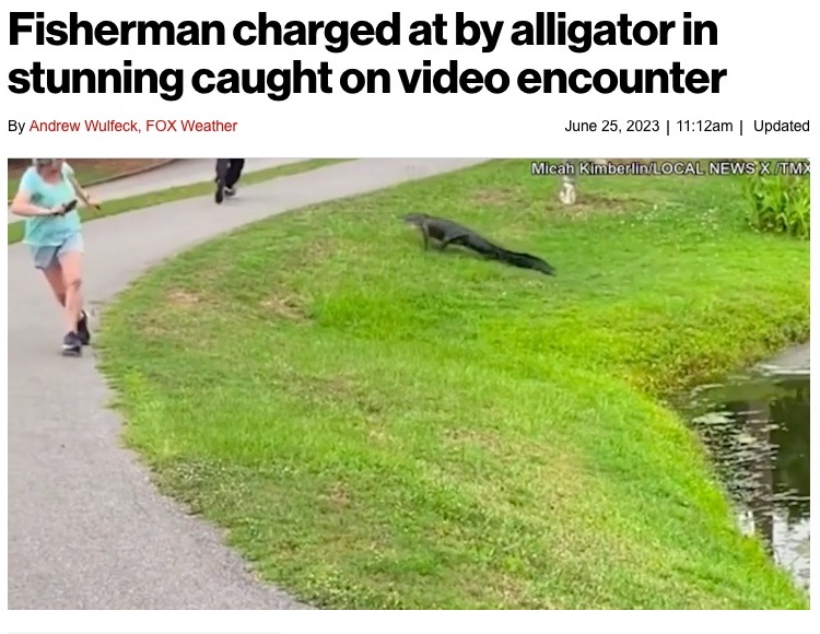 現地時間20日、米サウスカロライナ州のある池で釣りをしていた男性に野生のワニが突進した。ワニの素早い動きにその場にいた人々は驚いたという（画像は『New York Post　2023年6月25日付「Fisherman charged at by alligator in stunning caught-on-video encounter」（Micah Kimberlin/Local News X/TMX）』のスクリーンショット）