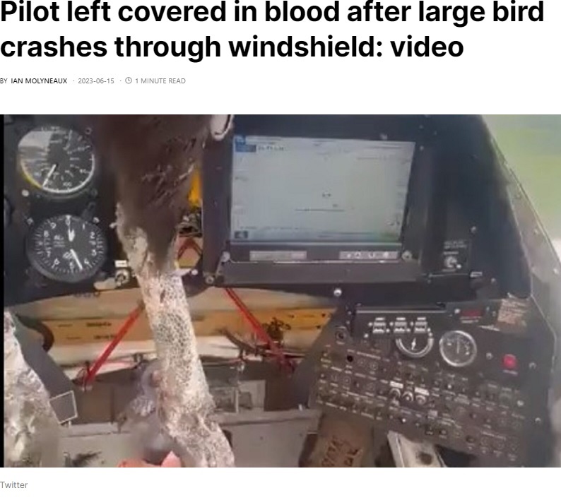 エクアドルのロス・リオス県ビンセス上空を飛んでいた農業機の機内。フロントガラスに巨大な鳥が突っ込み、パイロットの目の前にぶら下がっている（画像は『AeroTime　2023年6月15日付「Pilot left covered in blood after large bird crashes through windshield: video」（Twitter）』のスクリーンショット）