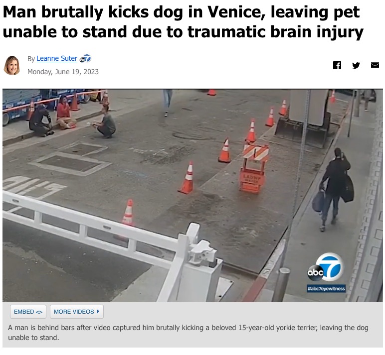 通りを歩くホームレスの男（右）。目の前にいるヨークシャー・テリアにあり得ない行動をして、左の歩道に座る3人も驚き、立ち上がっていた（画像は『ABC7　2023年6月19日付「Man brutally kicks dog in Venice, leaving pet unable to stand due to traumatic brain injury」』のスクリーンショット）