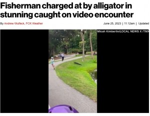 池の中から突然這い上がってきた野生のワニ。サウスカロライナ州天然資源局は「このワニは人間が餌をくれると勘違いした可能性が高い」と述べている（画像は『New York Post　2023年6月25日付「Fisherman charged at by alligator in stunning caught-on-video encounter」（Micah Kimberlin/Local News X/TMX）』のスクリーンショット）
