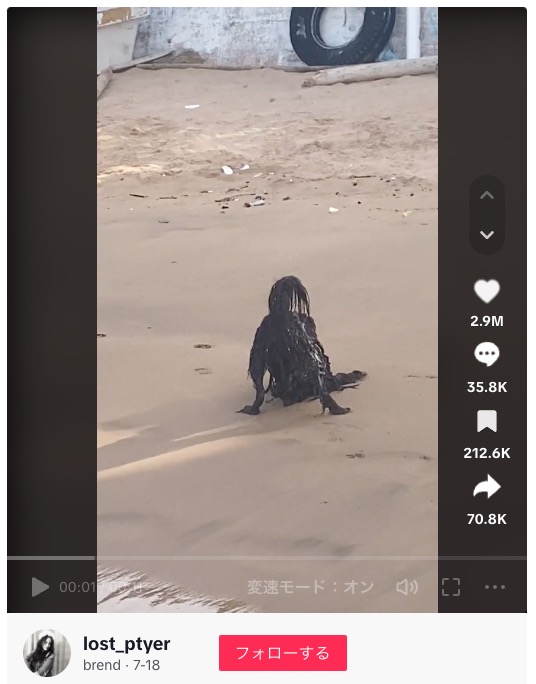 砂浜を這いずり回る不気味な黒い人影のようなもの捉えられた動画。SNSユーザーを「悪魔かなんかの使者？」と恐怖に陥れた（画像は『brend　2023年7月18日付TikTok「Se tildeo lola」』のスクリーンショット）