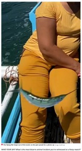 当時の様子を撮影した動画を見てみると、高速でトビウオが横切っていた。一瞬の出来事に、ネレッサさんは戸惑いを隠せなかった（画像は『The Daily Star　2023年7月12日付「Flying fish leaps onto boat and steals woman’s phone as she poses for a pic」（Image: ViralPress）』のスクリーンショット）
